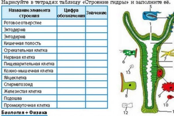 Кракен сайт с наркотиками