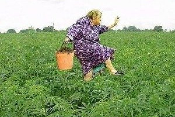 Кракен маркет kr2web in
