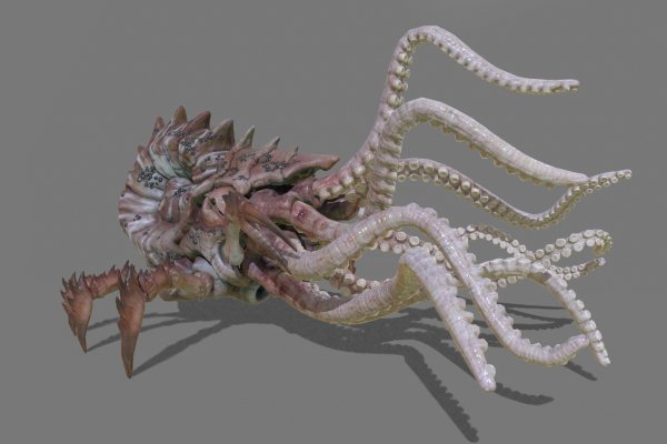 Kraken 2krn at